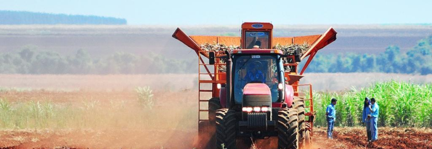 Agropecuária em MS encerra o ano com saldo positivo na geração de empregos