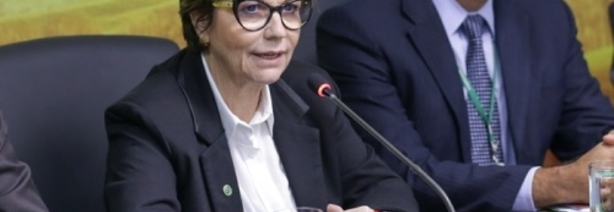 CNA e entidades discutem propostas para setor lácteo com ministra da Agricultura