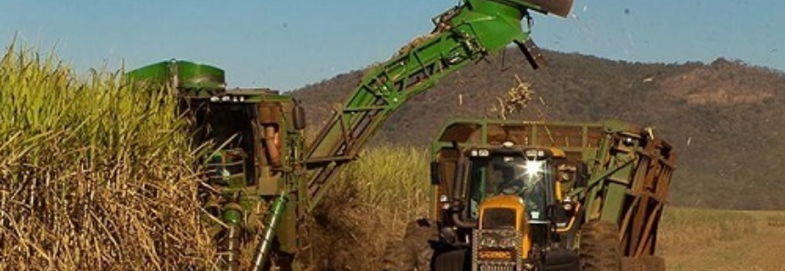 Inscrições abertas para novo curso sobre cultivo e produção de cana-de-açúcar