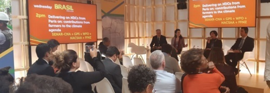 Painel promove diálogo e troca de experiências na COP24