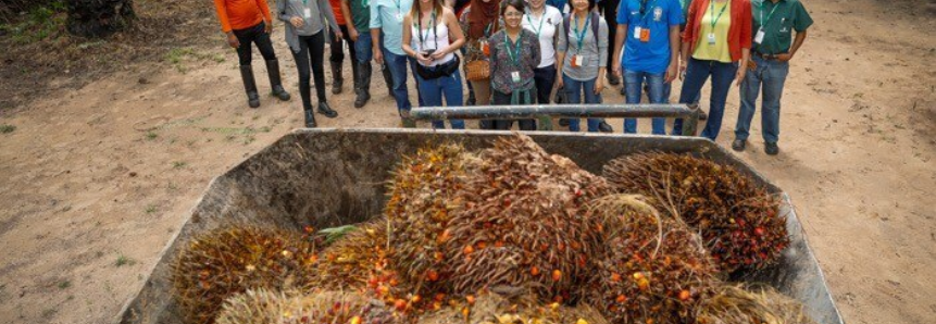 A convite da CNA, adidos visitam fazendas produtoras de óleo de palma e frutas