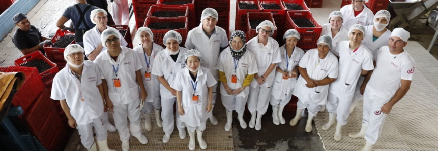 CNA leva adidos agrícolas para conhecer produção de açaí e cacau no Pará