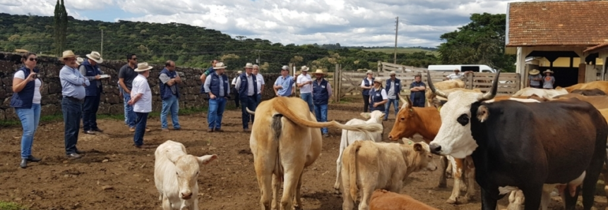 Santa Catarina recebe 1ª Missão Técnica ATeG do Senar