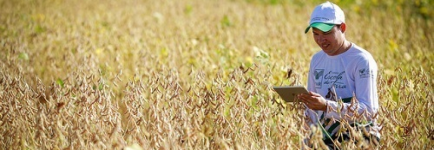 Senar abre inscrições para curso online de cultivo e produção de grãos