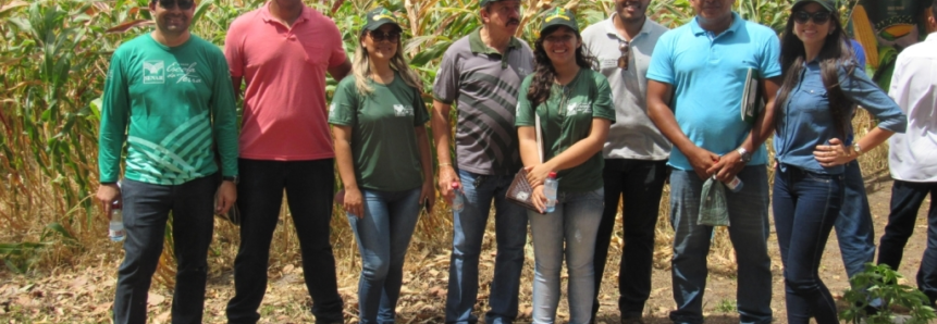 Dia de campo na comunidade Andiroba destaca assistência técnica do Senar