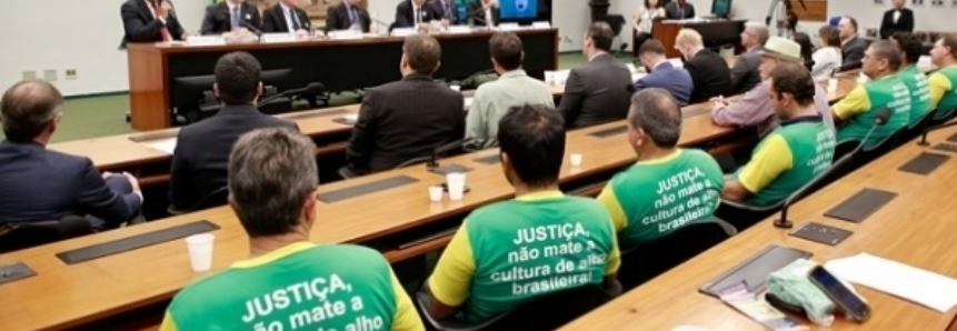 CNA trabalha para defender produção nacional de alho e cebola