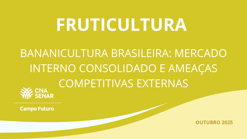 Bananicultura brasileira: mercado interno consolidado e ameaças competitivas externas