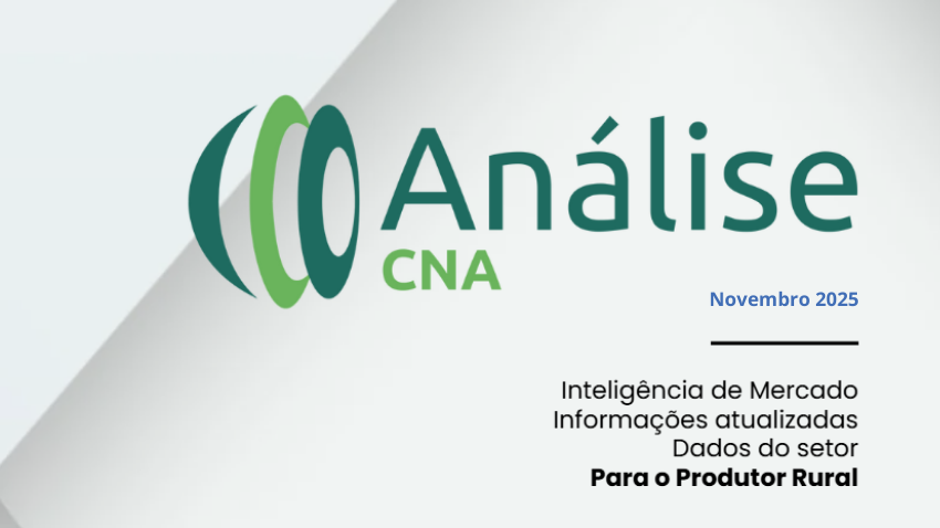 Análise CNA - Novembro 2025