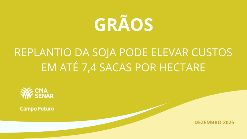 Replantio da soja pode elevar custos em até 7,4 sacas por hectare