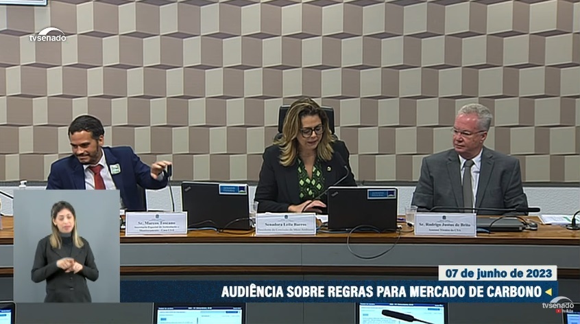 Audiencia mercado carbono senado