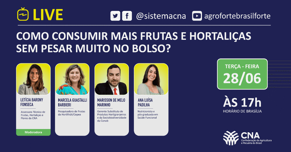 Como consumir mais frutas e hortalicas sem pesar muito no bolso