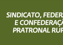 Sindicato, Federação e Confederação Patronal Rural