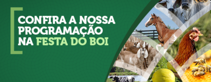 Festa do Boi 2022