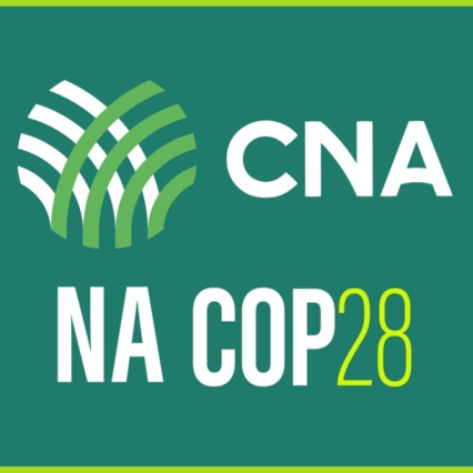 COP 28