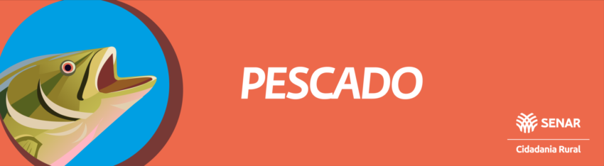 Banner cidadania rural pescado