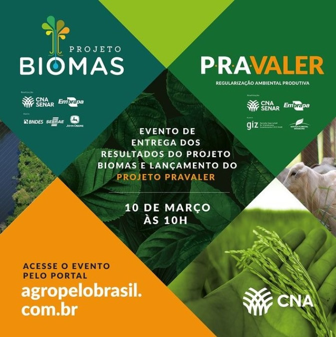 Biomas pra valer2