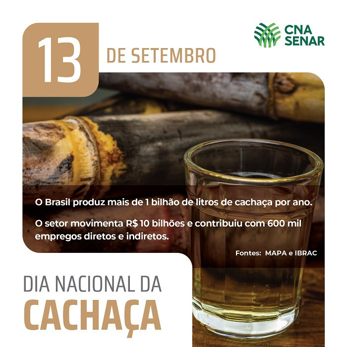 Card cachaca