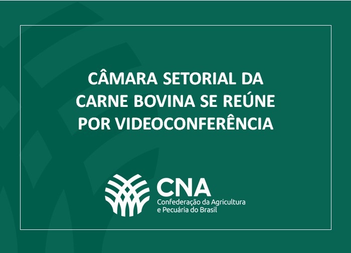 Card camara bovina