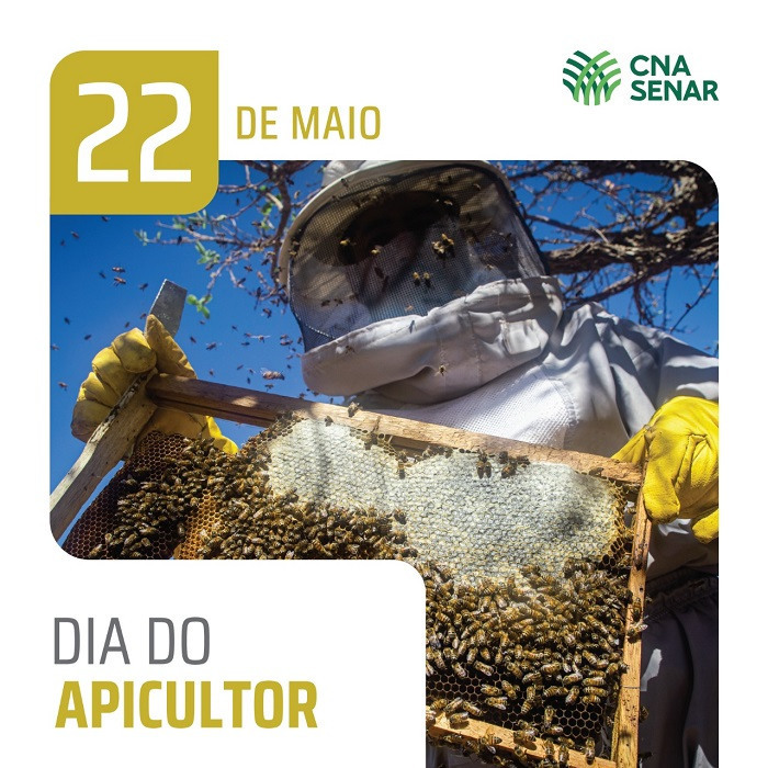 Card dia do apicultor