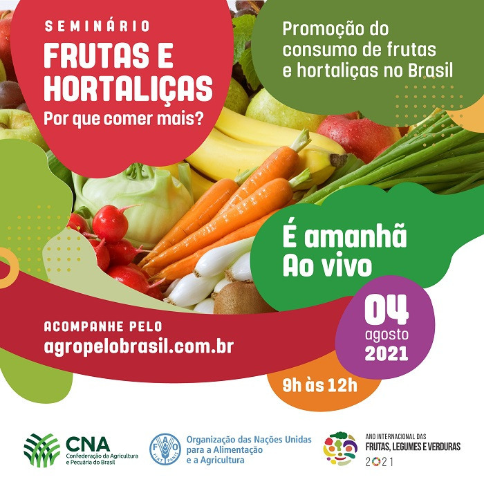 Card frutas horta Transmisao ao vivo Square