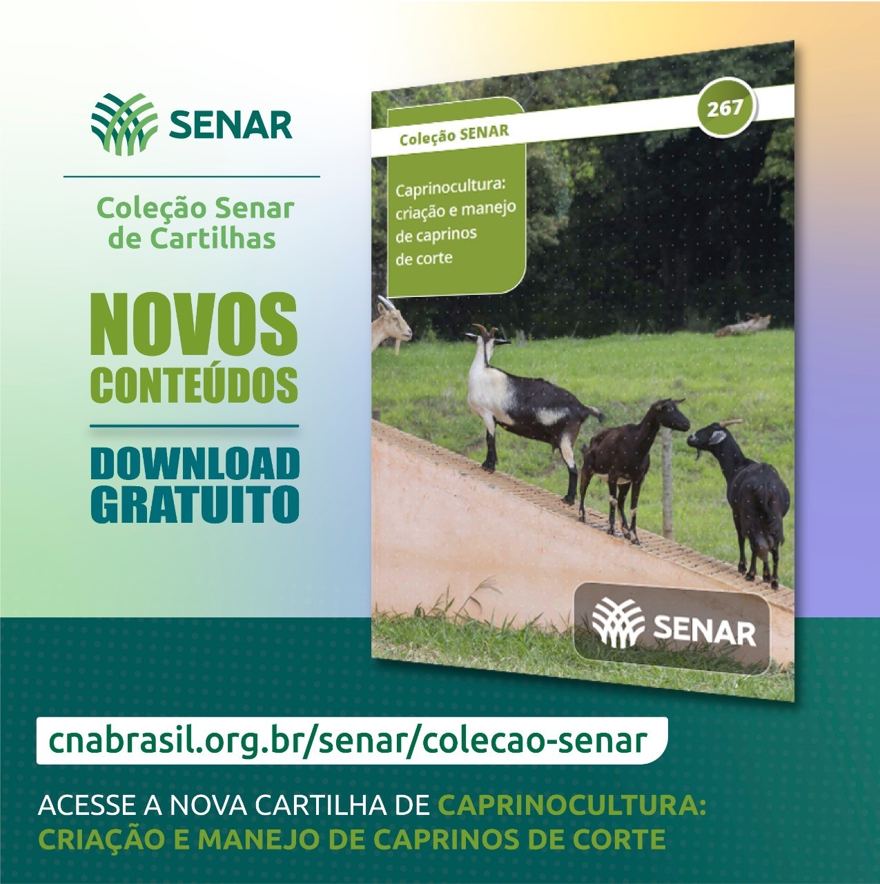 Cartilha nova