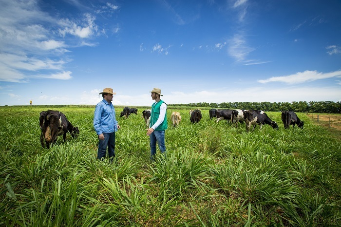 Curso tecnico agronegocio 190212 130729