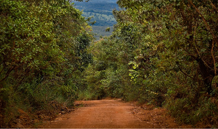 Estrada de chao