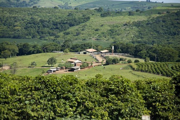 Fazenda web