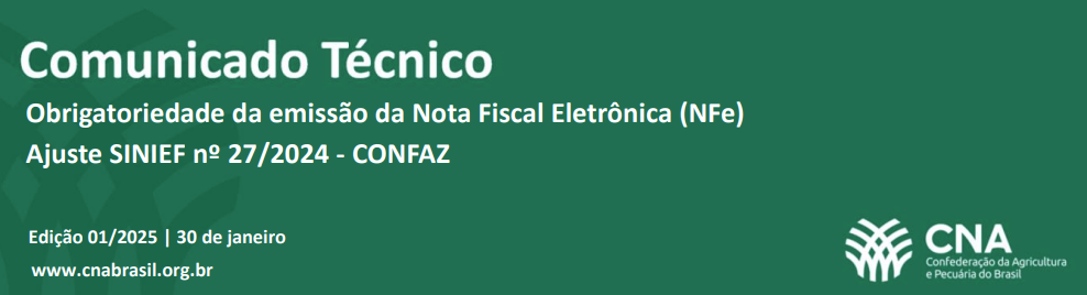 Comunicado tecnico N Fe