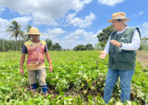 Planejamento e orientações técnicas mudam a vida do produtor rural no agreste sergipano