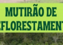 Faeg Jovem prevê plantio de 400 mudas para recuperação do Rio dos Bois nesta quinta-feira