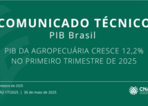 CNA divulga análise do PIB