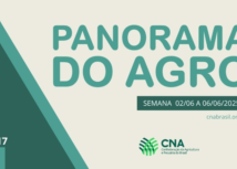 Panorama do Agro - Semana de 2 a 6 de junho