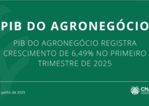 PIB do Agronegócio cresce 6,49% no primeiro trimestre de 2025