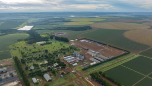 ESG avança nas empresas rurais goianas