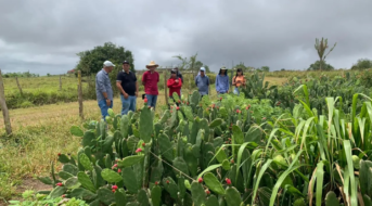 Dia de Campo do projeto Forrageiras para o Semiárido será realizado em Nossa Senhora da Glória