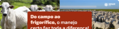 Senar Goiás lança curso sobre Manejo e Controle no Abate de Bovinos