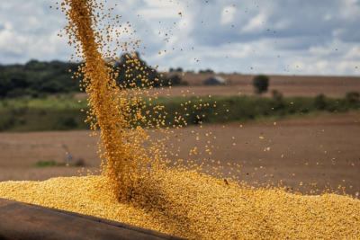 CNA e Ministério da Agricultura discutem modernização da classificação da soja