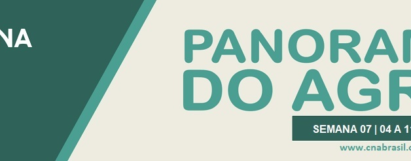 Panorama do Agro - Semana de 7 a 11 de abril