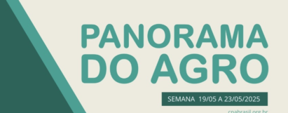 Panorama do Agro - Semana de 19 a 23 de maio
