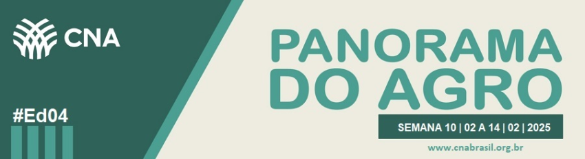 IMAGEM PA 10 A 14 DE FEVEREIRO