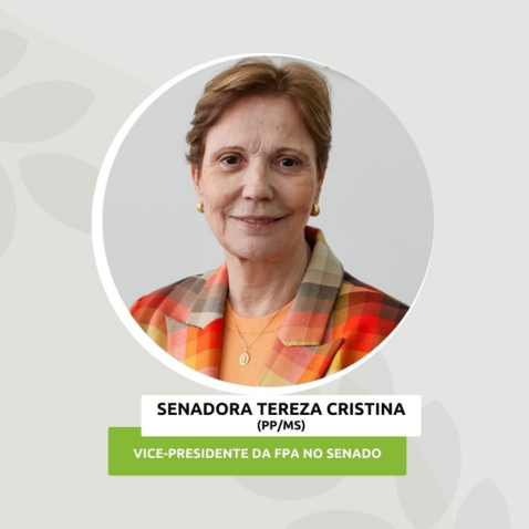 Whats App Image 2025 03 18 at 18 55 32