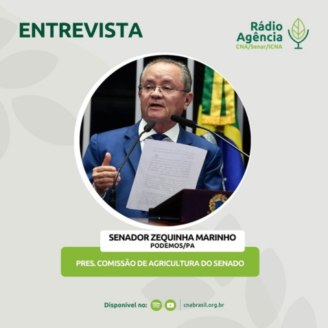 Whats App Image 2025 03 20 at 17 18 19