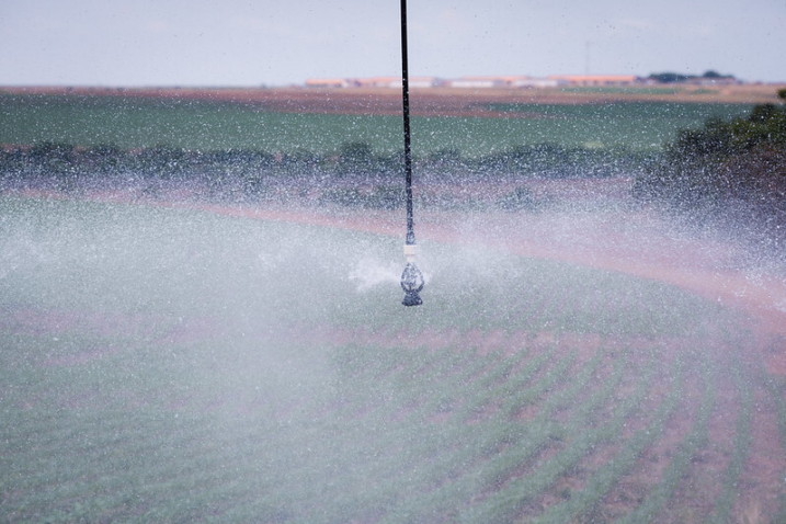 53806645651 8427af9db7 c