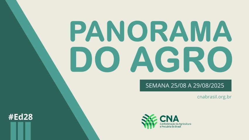 IMAGEM PA 25 A 29 DE AGOSTO