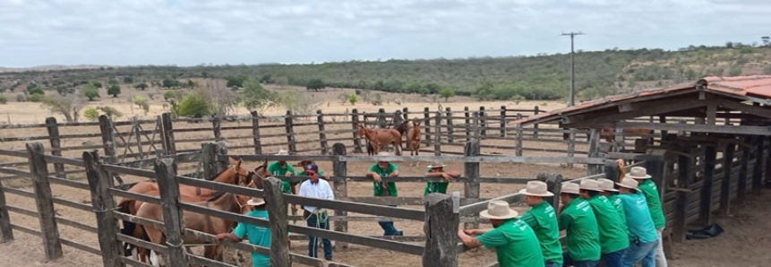 Senar promove treinamento para instrutores de equideocultura na Bahia