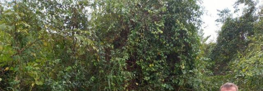 Produtor rural transforma hobby em fonte de renda e qualidade de vida