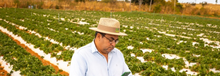 Conecta Produtor alcança 100 mil produtores rurais em todo o país