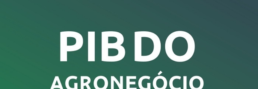 PIB do agronegócio fecha 2024 com crescimento de 1,81%
