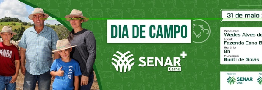 Inscrições abertas para o dia de campo sobre pecuária de corte em 31/05